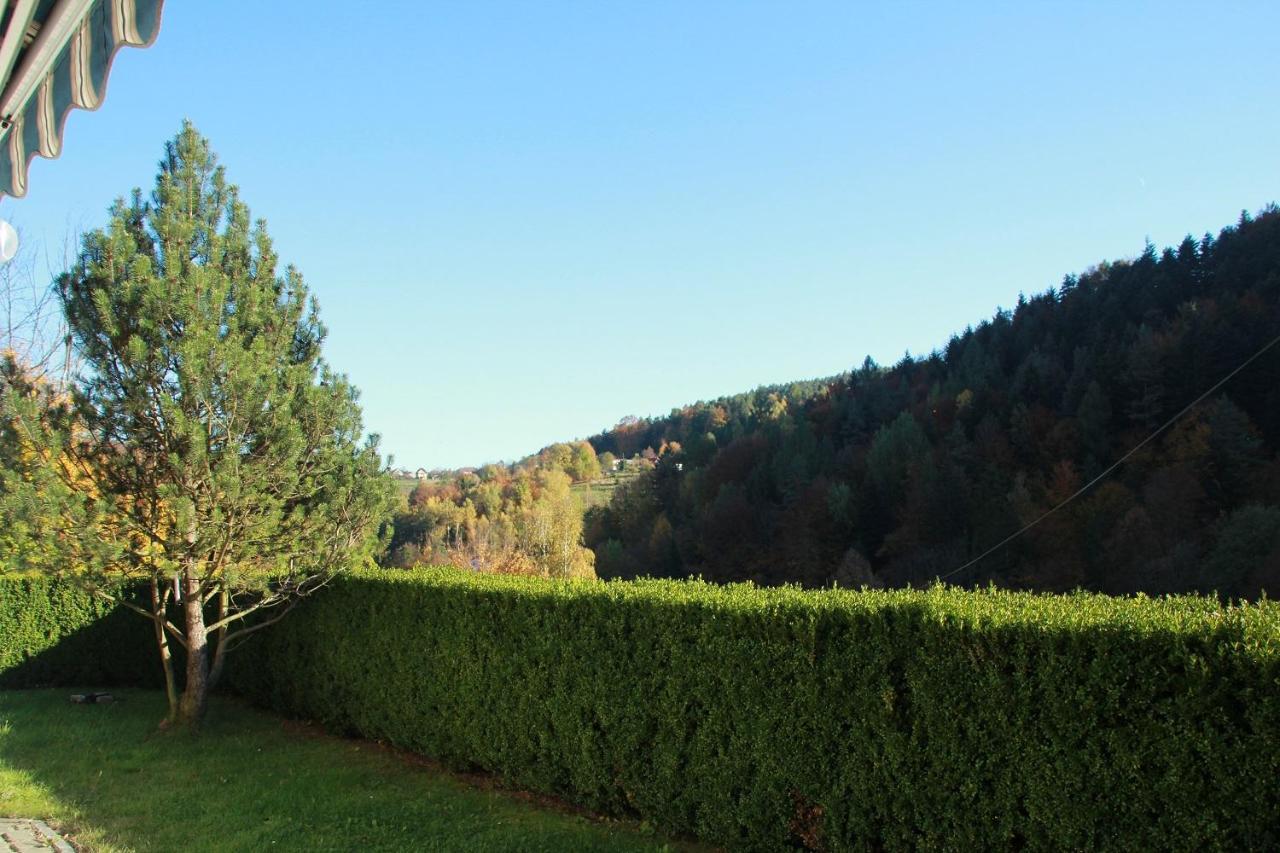 Villa Letniskowa 10 à Czernichow  Extérieur photo